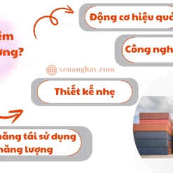 xe-nang-hay-xe-lay-hang-tam-trung-niuli-gopz