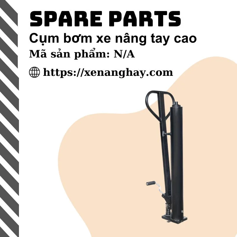 Kỹ thuật viên kiểm tra hệ thống thủy lực xe nâng dầu tại Quảng Ngãi